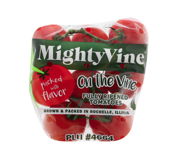 Tomatoes on the Vine – Image 2